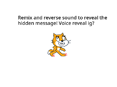 HIDDEN MESSAGE
