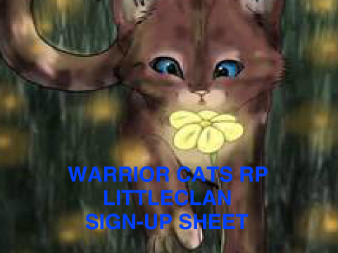 Warrior Cats Rp: Littleclan Yewthorn