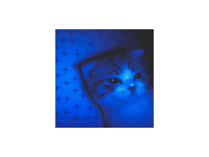 *ੈ✩‧₊˚ ˚₊· ͟͟͞͞➳❥ .