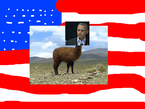 Obama Llama