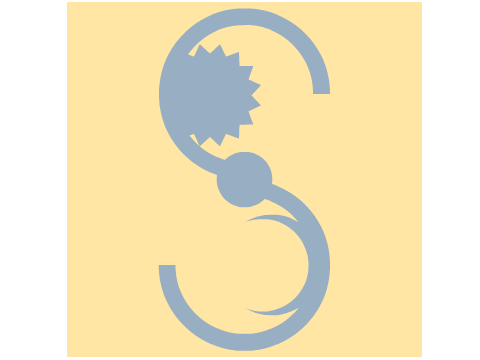 ScratchStang Logo Entry