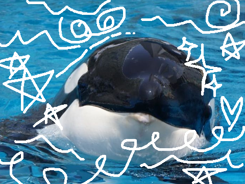 Project thumbnail