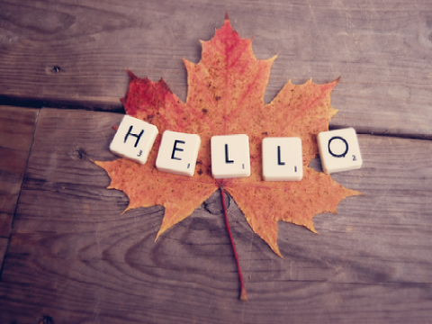 Hello
