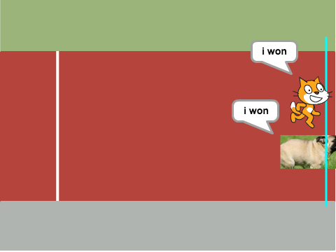 pug race