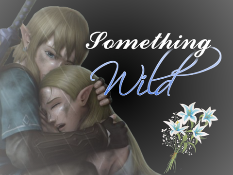 COMING SOON - Zelda GMV