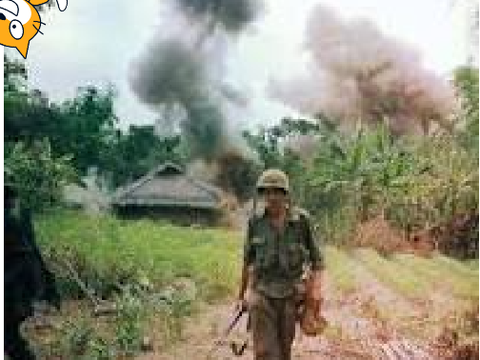 movable Vietnam cat man