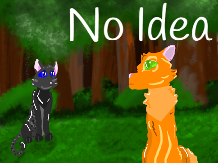 No Idea