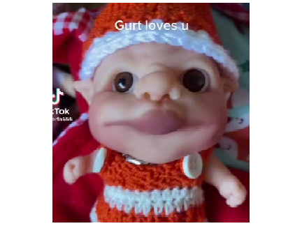 Gurt
