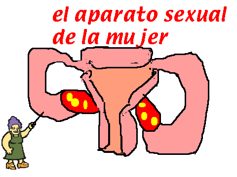 clase de el aparato sexual de la mujer