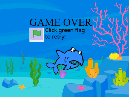 fish vs shark