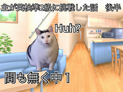 〈猫ミーム〉主が英検準2級に挑戦した話　後半