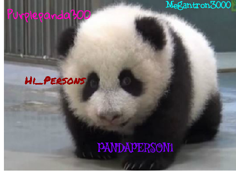 ~Sign if you are against Panda Poaching~