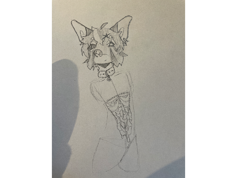 Dt wip TW gore