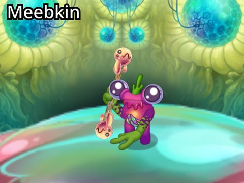 Meebkin Short