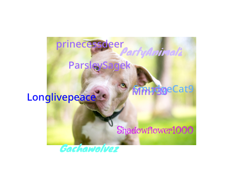 Sign if you care about pit bulls remix remix remix remix remix remix