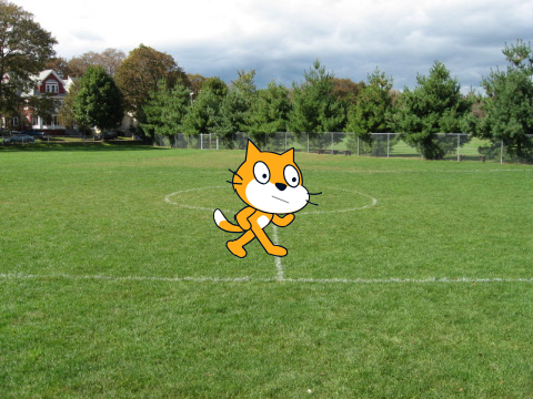 Cat Moving Game