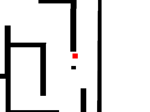 Maze test