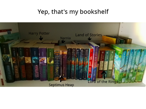 My bookshelf