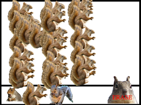 PAINTING WITH SQUIRRELS