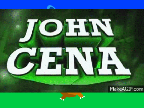 parrot cat -----JOHN JENA