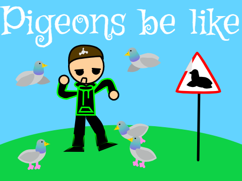Pigeons be like