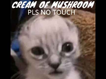 Cream of Mushroom