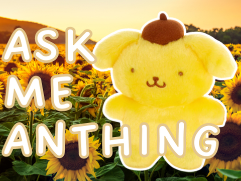 ask me  a n y t h i n g