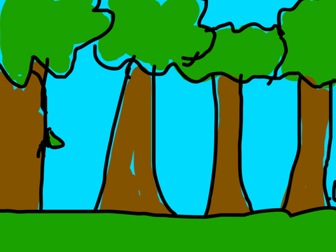 Animation