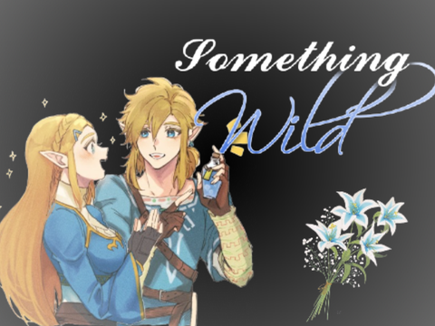 Zelda GMV - Something Wild