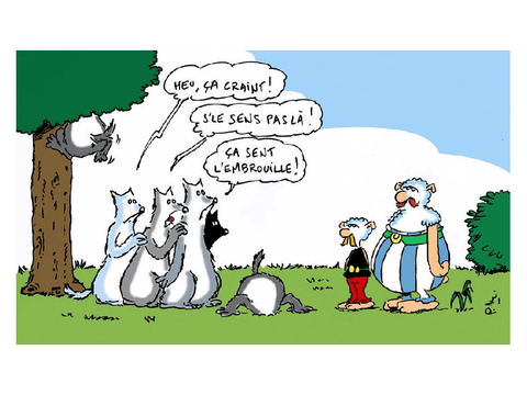 Mdrrr