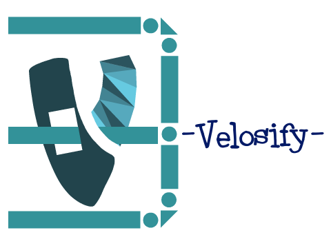Velosify Logo/Intro Entry