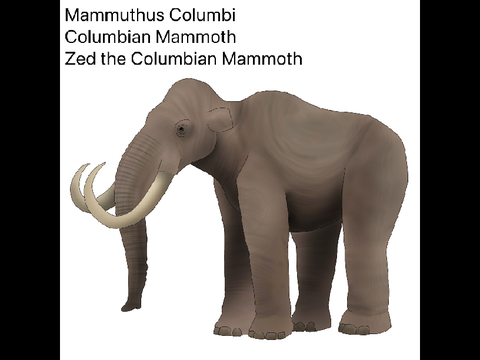 Zed the Columbian Mammoth Paleoart