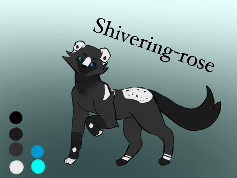 Ref for @-_Sleepy_Dreams_-