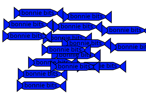 bonnie bits