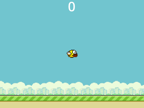 Flappy Bird (Gravity Test)