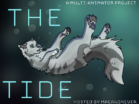 The Tide • Open M.A.P (250+)