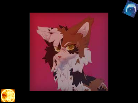 warrior cats :) remix
