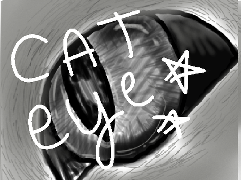 ☾Cat eye☽#Art