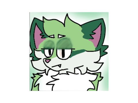 furry questions answered yippee