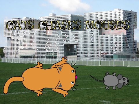 Cat Chases Mouses