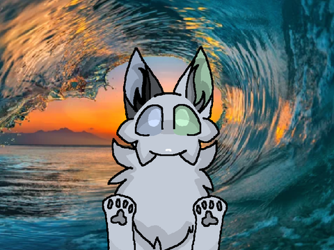 The Tide • Meme