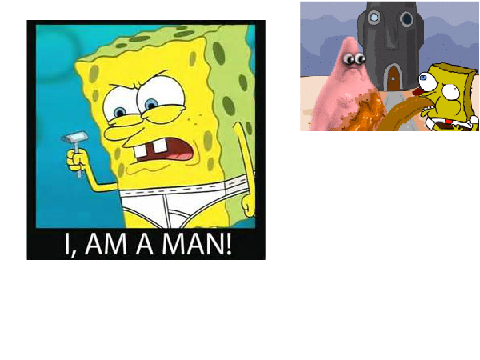 Memes