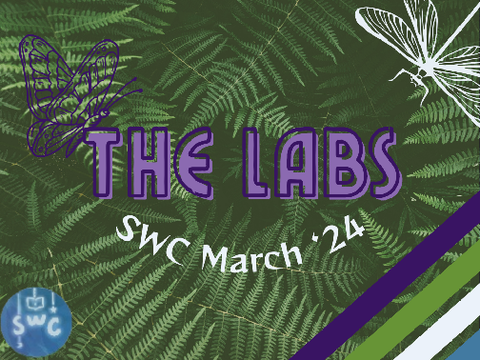 The Labs ʚїɞ Thriller Insect Academy