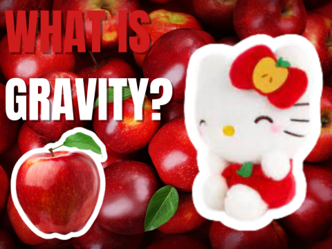 What Is Gravity?