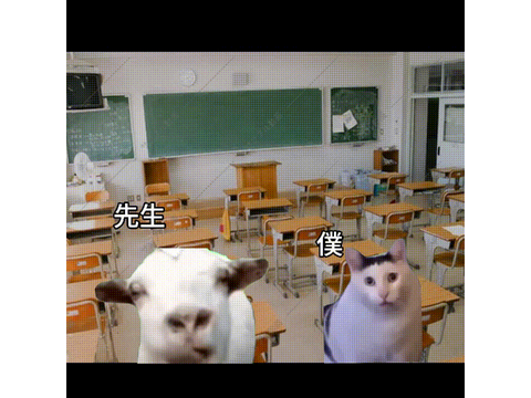 猫ミームアニメ