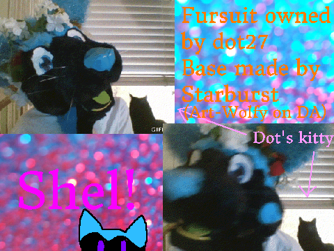 SHEL GIFS~!
