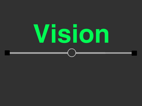 Vision 