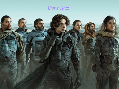dune33