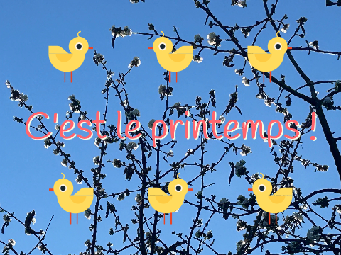 C'est le printemps !