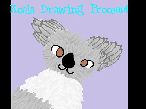 Koala (drawing process)